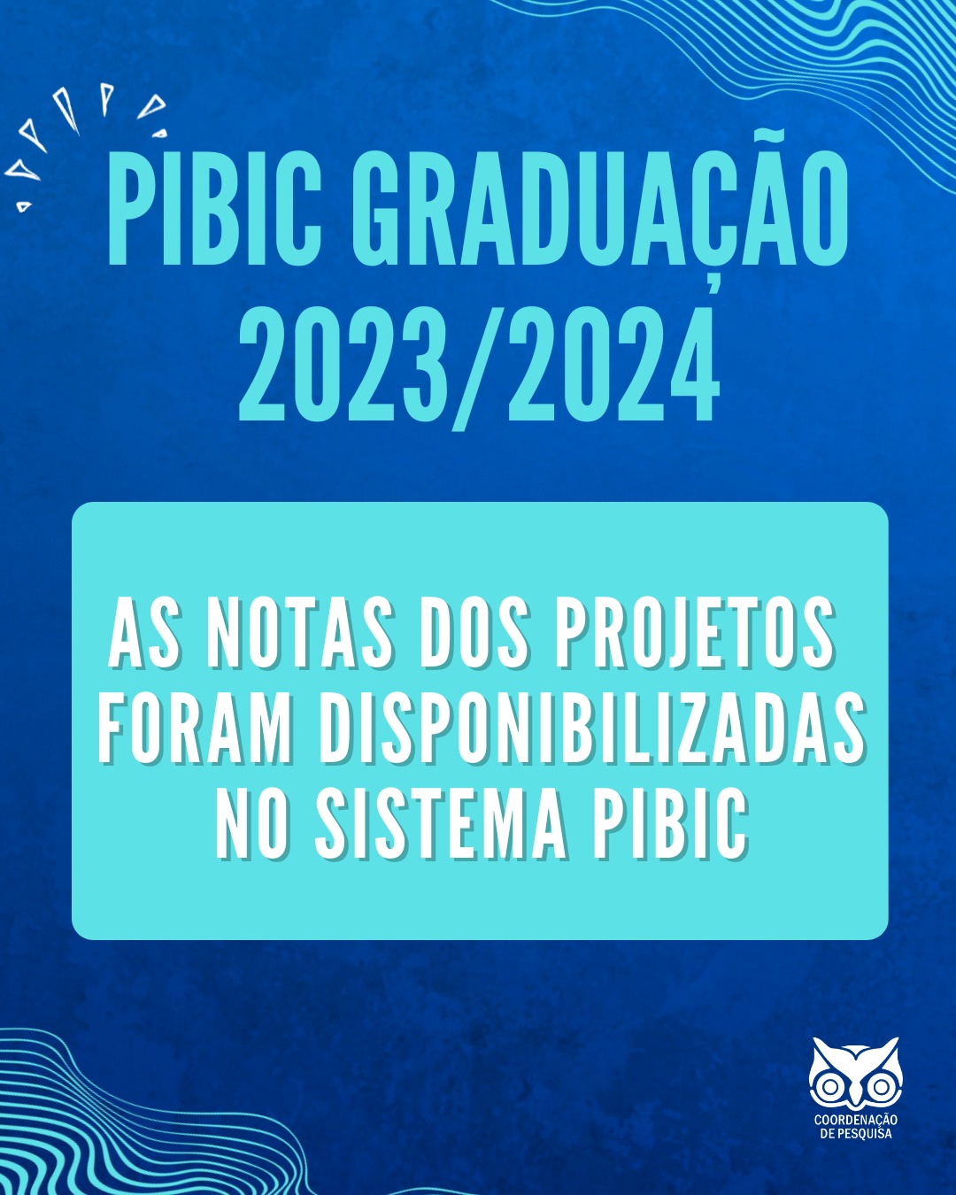 PIBIC Graduação 2023/2024 Resultado preliminar Portal de Pesquisa